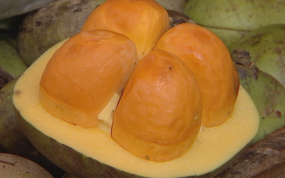 Fruto do pequi, em Goiás — Foto: Reprodução/TV Anhanguera