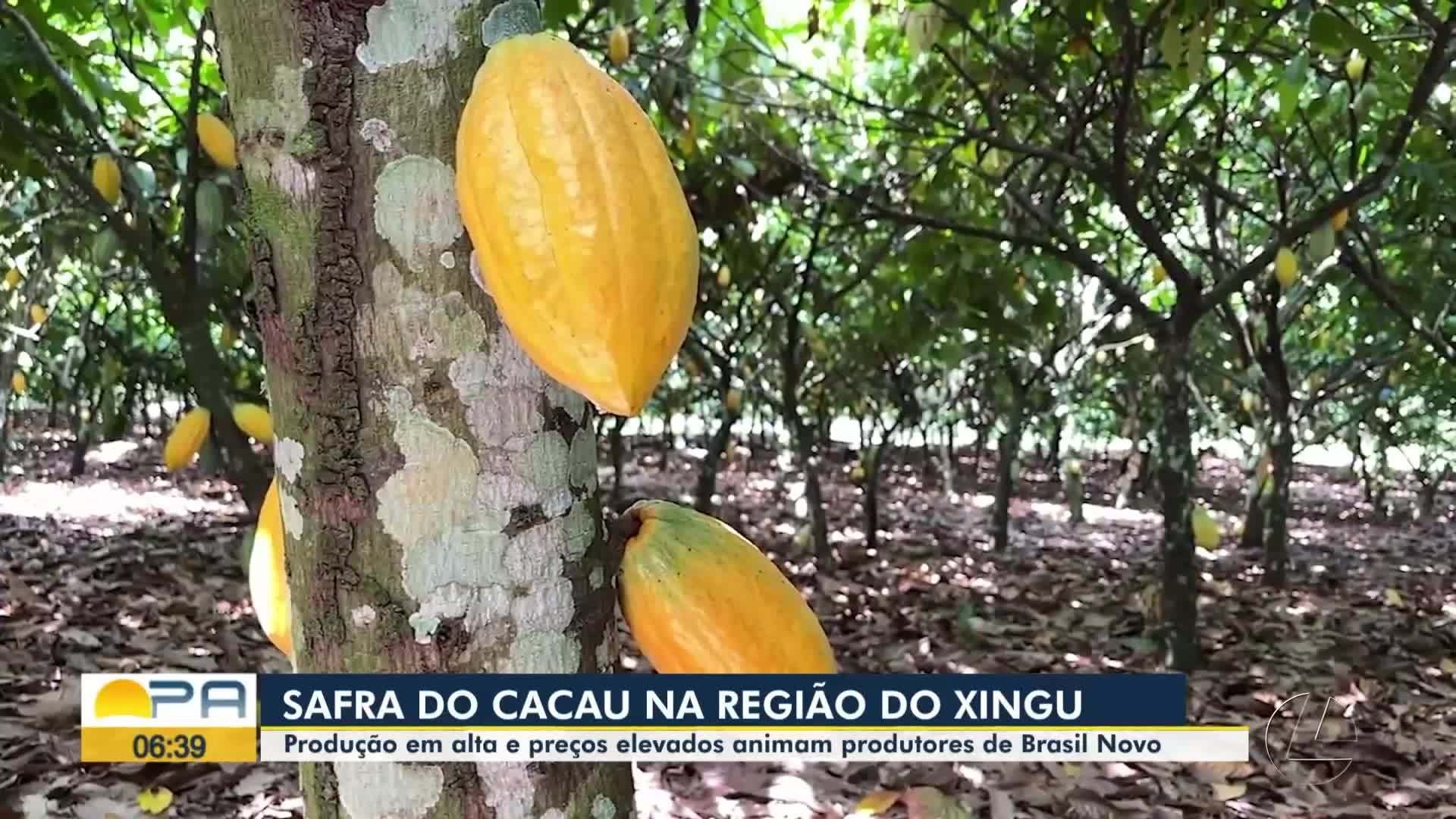 VÍDEOS: BDP de sexta-feira, 13 de junho de 2025