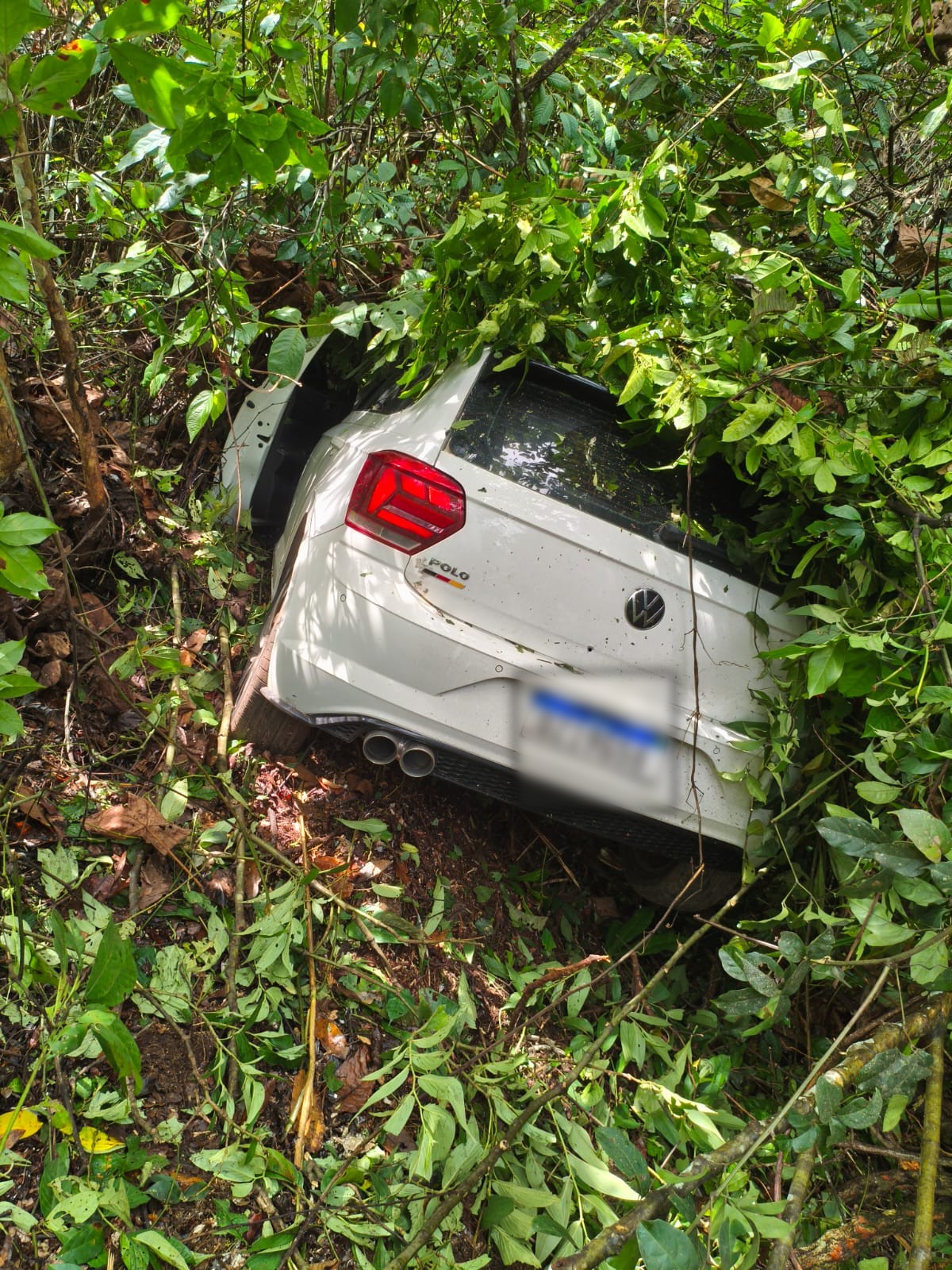 Jovem é preso após jogar carro roubado contra policial durante perseguição no Sul de RR; VÍDEO
