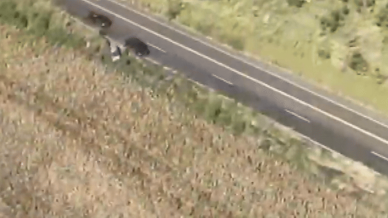 VÍDEO: Homem que tentava chegar a Londrina com 270 quilos de maconha do Paraguai é preso após perseguição com helicóptero da PM