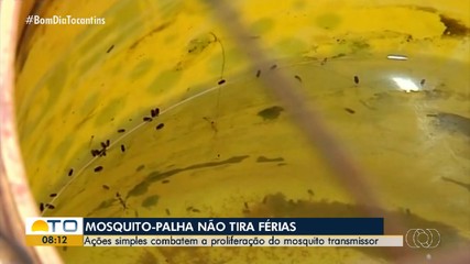 Ação é realizada para prevenir avanço da leishmaniose com o combate ao mosquito-palha