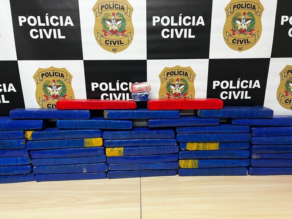 Jaguar, Porsche e maconha são apreendidos em ação contra tráfico em SC — Foto: Polícia Civil/Divulgação