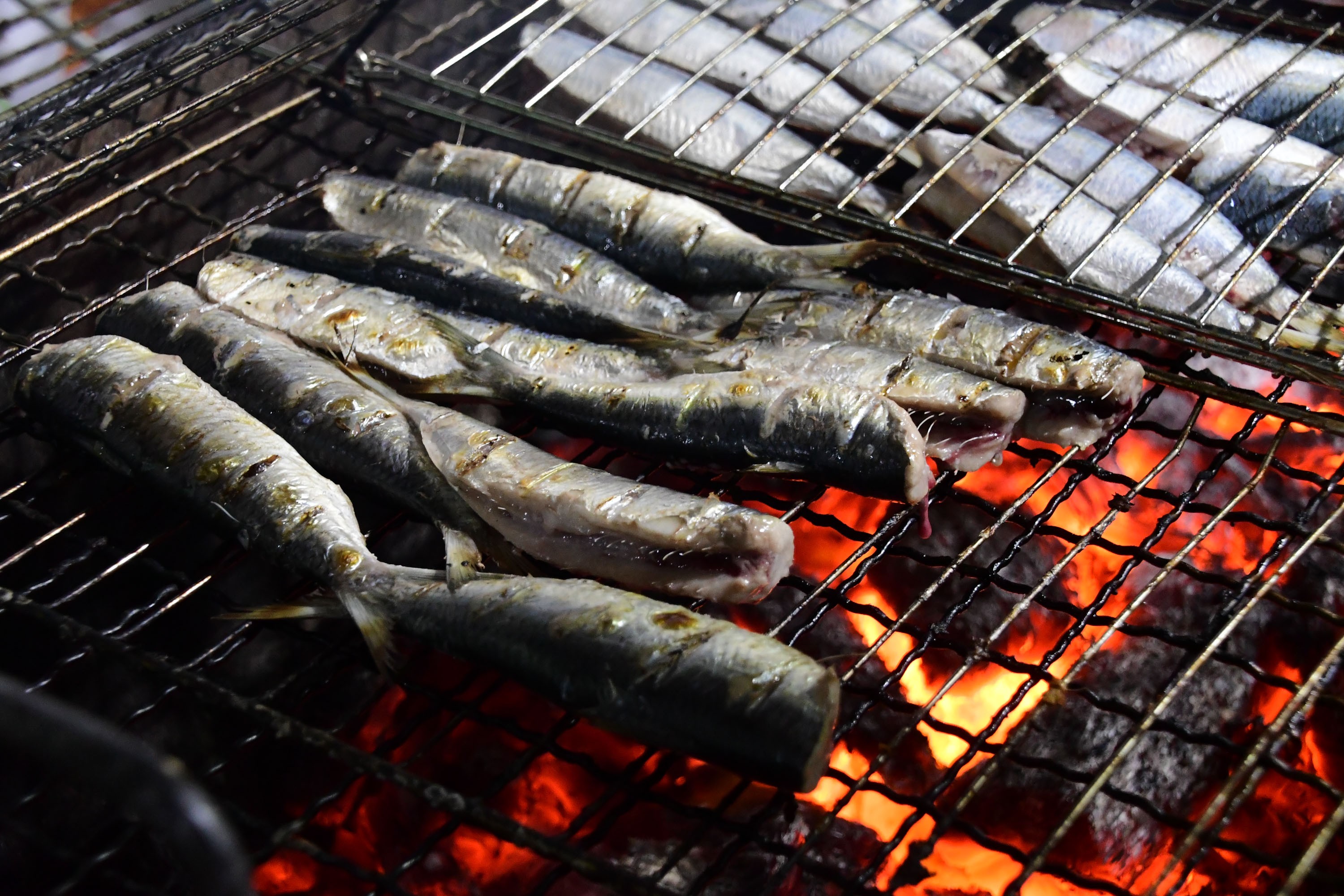Prefeitura de Ilhabela confirma atrações do 13º Festival da Sardinha 2025