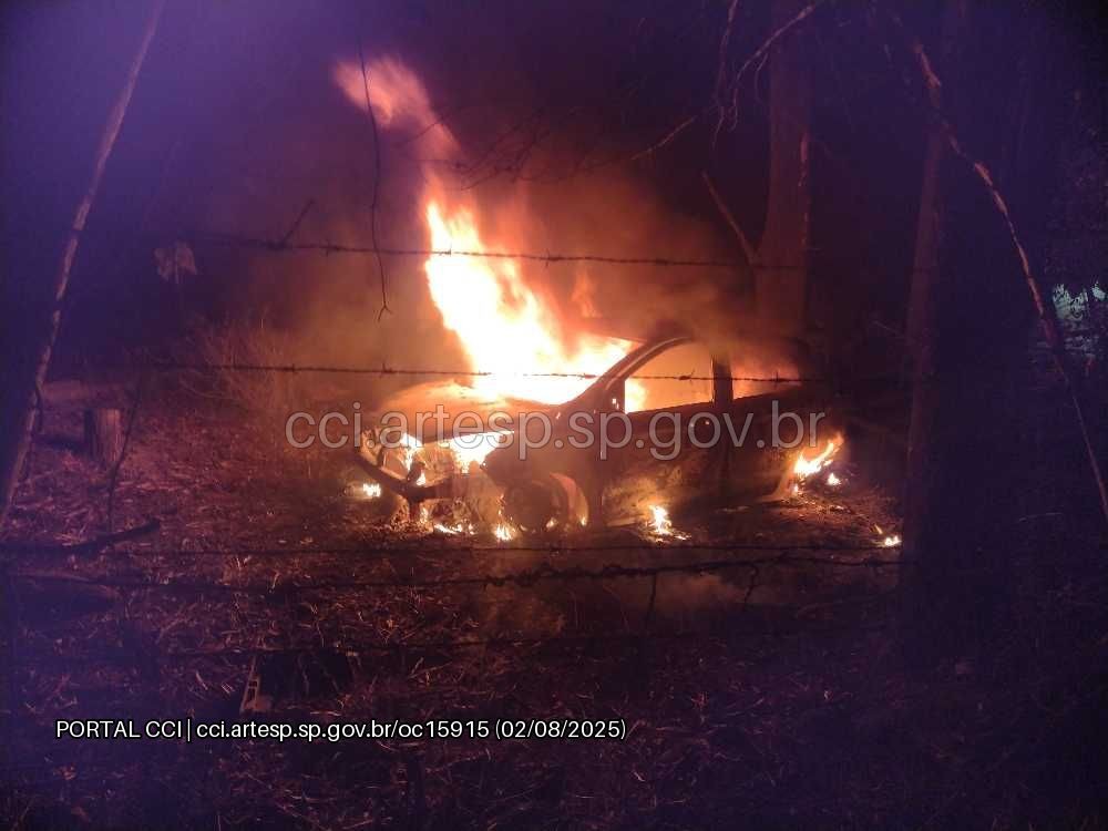 Passageiro morre após carro capotar, bater em árvore e pegar fogo na SP-300 em Tietê; motorista fugiu