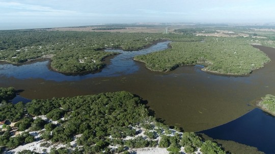 Água poluída? Algas se proliferam e tomam conta de lagoa no ES; veja FOTOS - Moradores cobram limpeza da Lagoa do Guanandy, em Itapemirim, após o aparecimento das plantas aquáticas. Biólogo diz que excesso pode estar ligado à poluição da água.