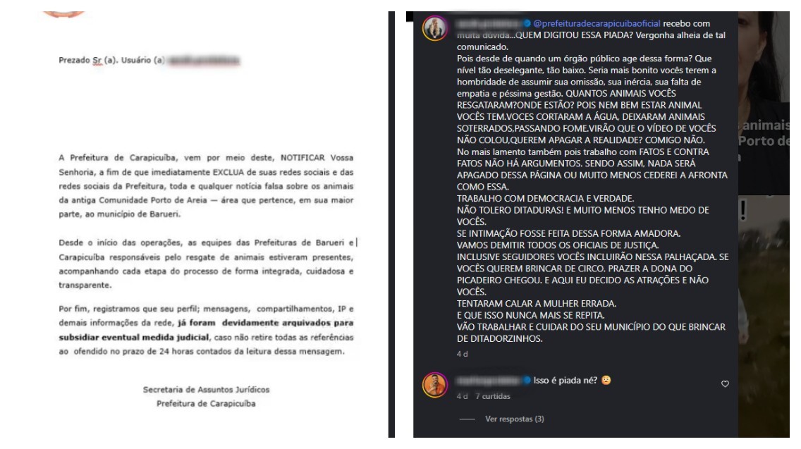 Moradores relatam abandono de centenas de animais após desapropriação na Grande SP; prefeituras negam maus-tratos