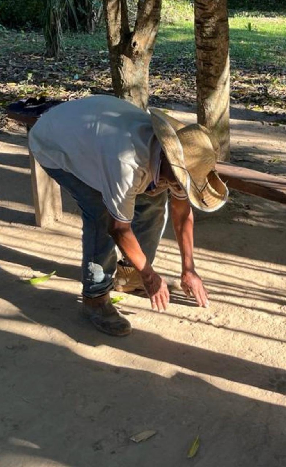A coexistência harmônica entre onças-pintadas e ser humano tem sido observada no Pantanal mato-grossense por meio de câmeras trap, que fazem parte da pesquisa de grandes felinos na Reserva Particular do Patrimônio Natural, a RPPN Sesc Pantanal. — Foto: Gabriela Schuck