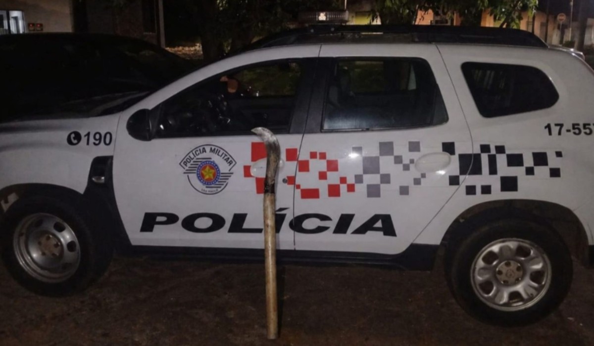 Mulher é presa após tentar matar idoso com golpe de foice na cabeça em Presidente Epitácio