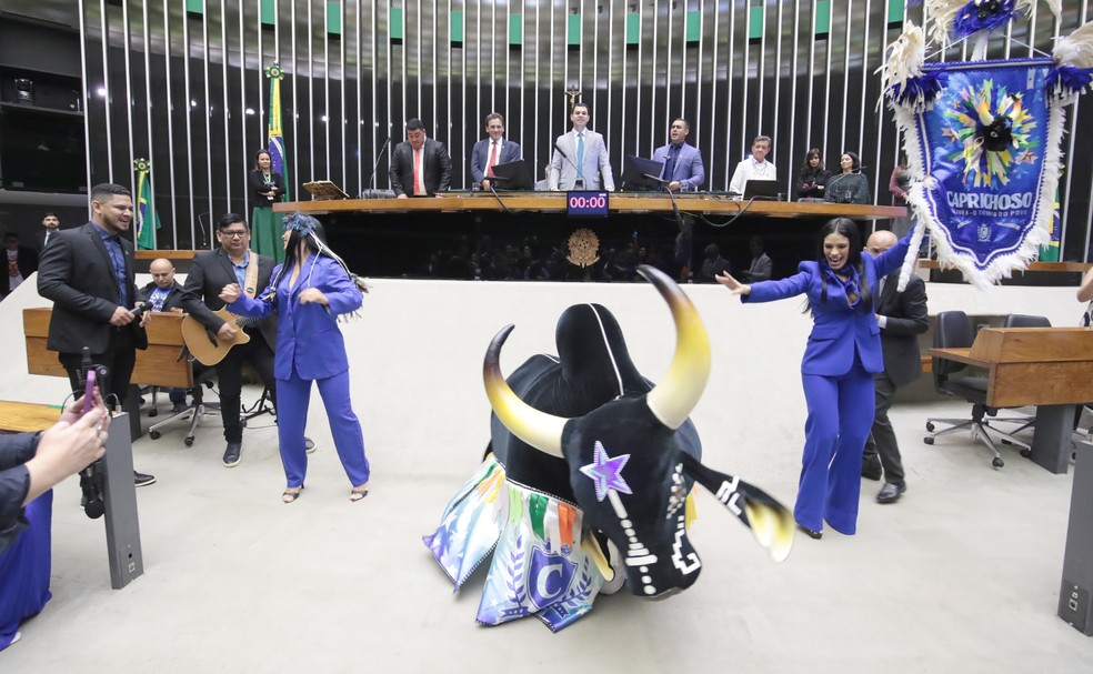 C&acirc;mara faz sess&atilde;o em homenagem ao Festival de Parintins e aos Bois  Caprichoso e Garantido | G1