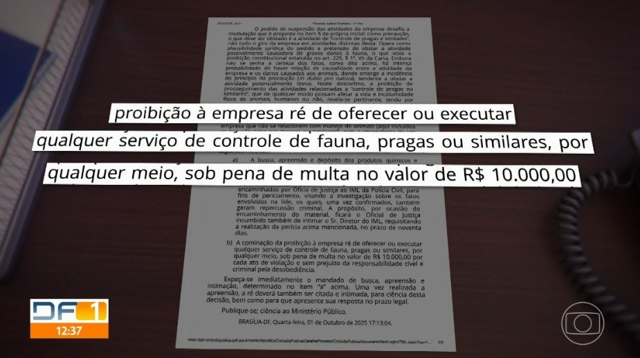 Polícia indicia dono de empresa do DF que espalhou produto em muro para afastar pombos e matou mais de 50 aves