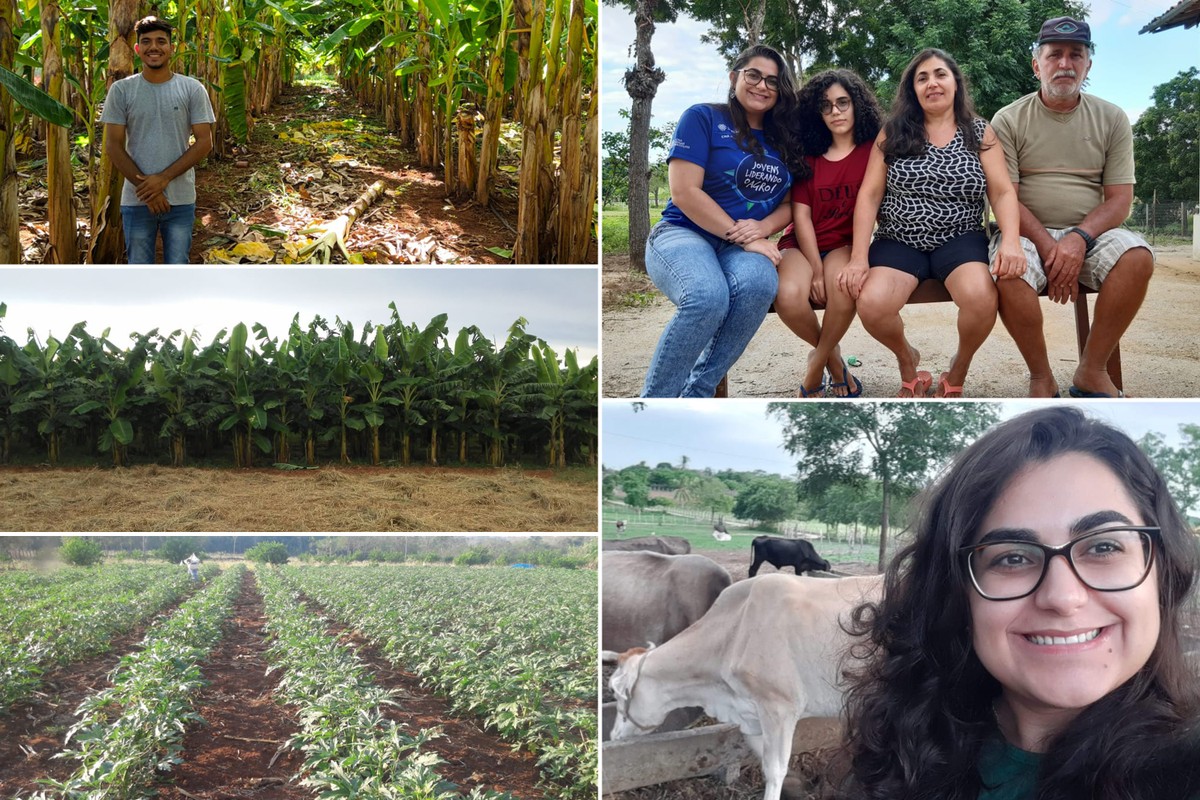 Clube Agro Brasil transforma compras em pontos para agricultor adquirir  produtos - Dinheiro Rural