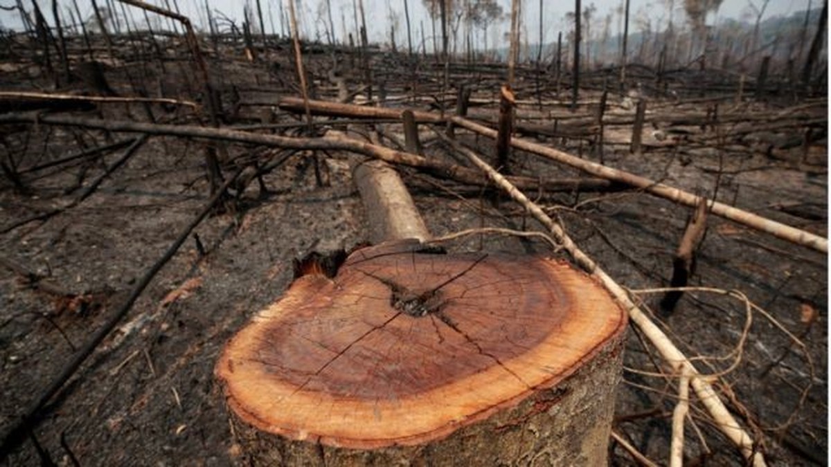 G1 - Soldados que defendem fronteiras da Amazônia vivem na 'idade