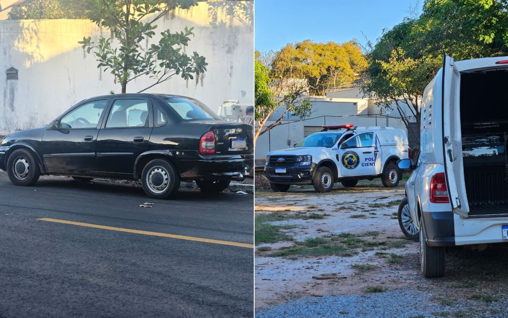 Filhotes de cachorro são resgatados de porta-malas de carro sob sol forte ao lado de UPA Veterinária, em Goiânia