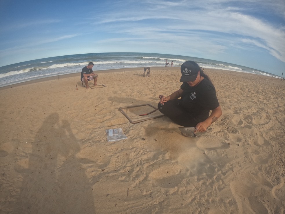 Pesquisadores da Sea Shepherd coletaram amostras da Praia do Pontal do Sul, em Conceição da Barra, no Norte do Espírito Santo — Foto: Lucas Amorelli/ Sea Shepherd Brasil