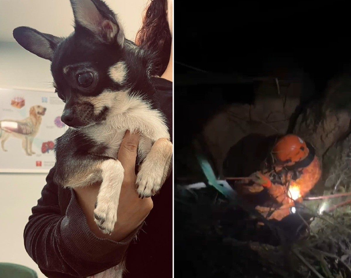 Cachorrinha cai em poço de 10 metros em Saquarema e bombeiros fazem o resgate de rapel