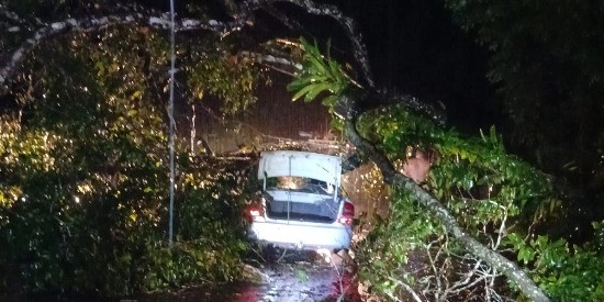 Agricultor morre após árvore cair sobre carro durante chuva em Colares, no nordeste do PA