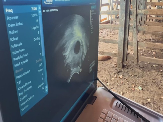 Retrospectiva 2025: reveja reportagens do Nosso Campo deste domingo, 25 de janeiro