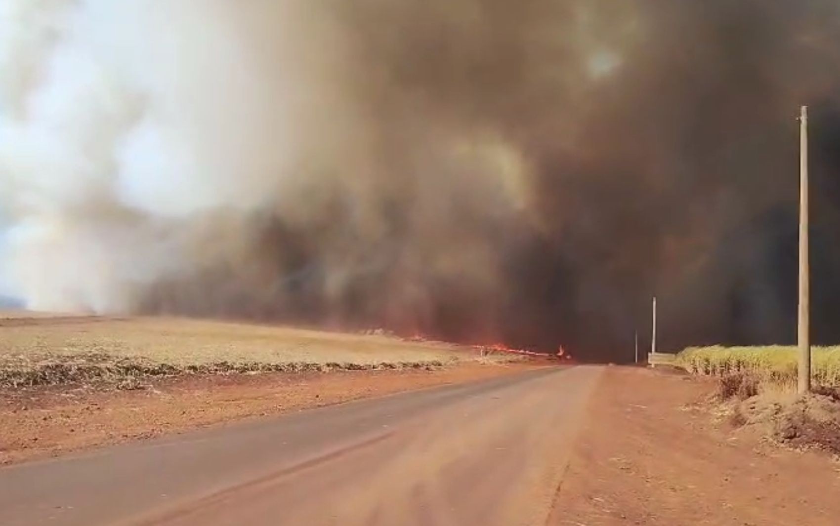 Incêndio se alastra por canavial e fumaça toma conta de vicinal no interior de SP