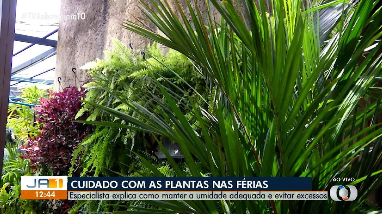 VÍDEOS: Jornal Anhanguera 1ª Edição - TO de segunda-feira, 15 de dezembro de 2025