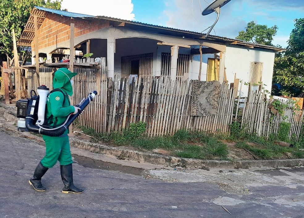 Amazonas registra mais de 1,2 mil casos de dengue nos primeiros dias de 2024,  diz FVS | Amazonas | G1