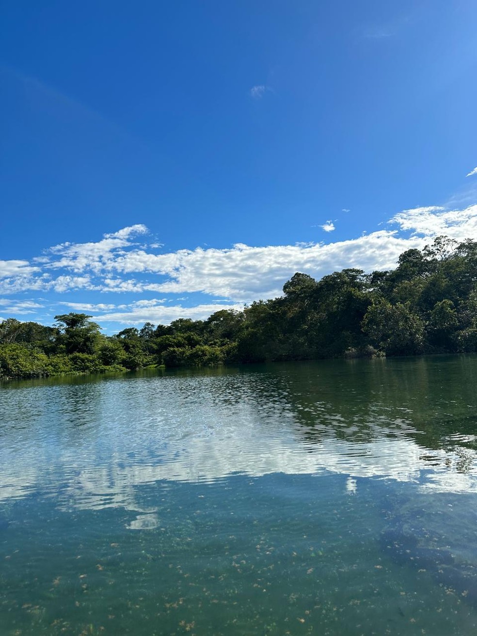 Reflexo na Lagoa do Japonês mostra belezas naturais em Pindorama — Foto: Evandro Mendes/TV Anhanguera