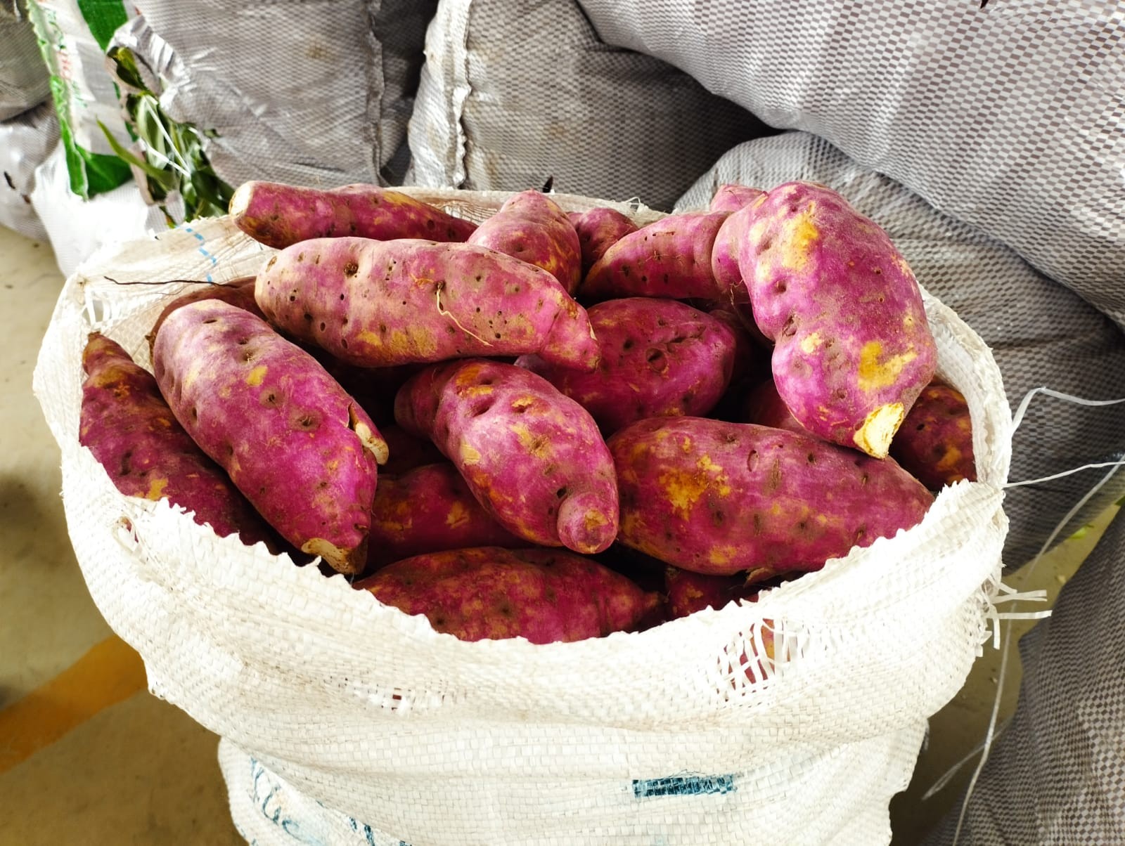 Com aumento de 117%, batata roxa torna-se 'vilã' da cesta básica em ...