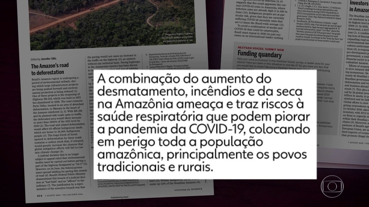 O perigoso elo entre desmatamento e pandemias - Outras Palavras