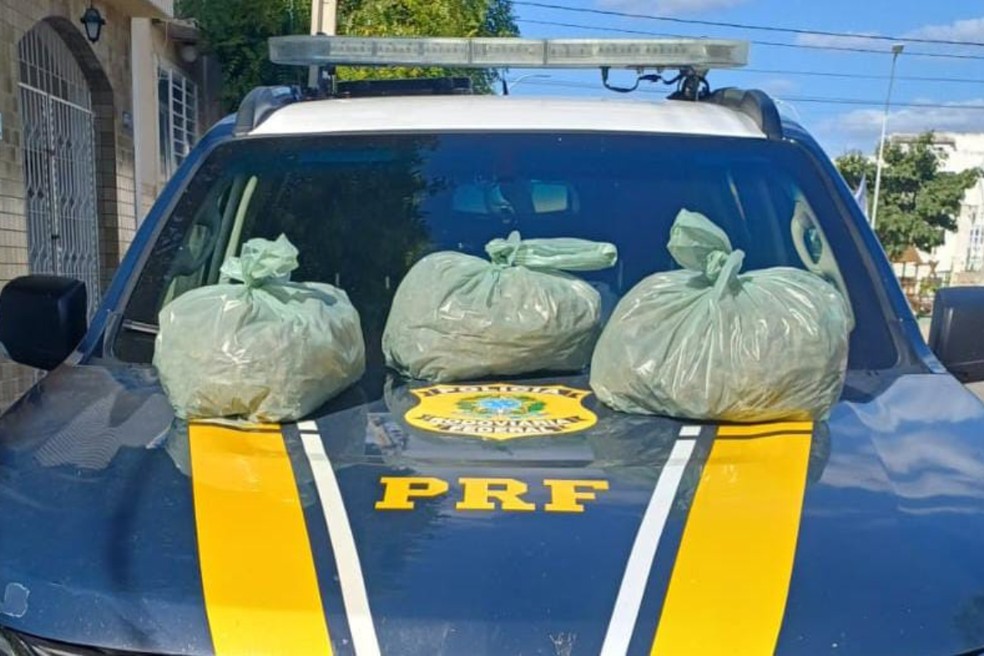 PRF apreende 10,3 kg de skunk na BR-232, em Sertânia — Foto: Reprodução/PRF