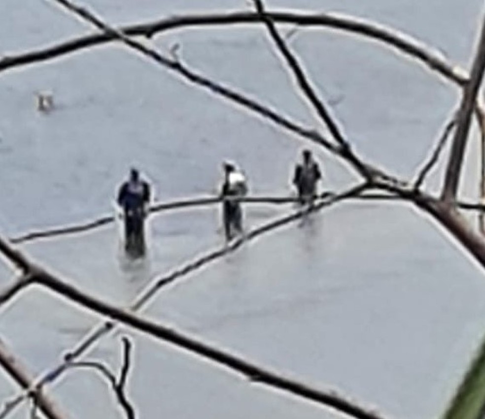 Homens foram multados por pescarem em local proibido em Rosana (SP) — Foto: Polícia Ambiental