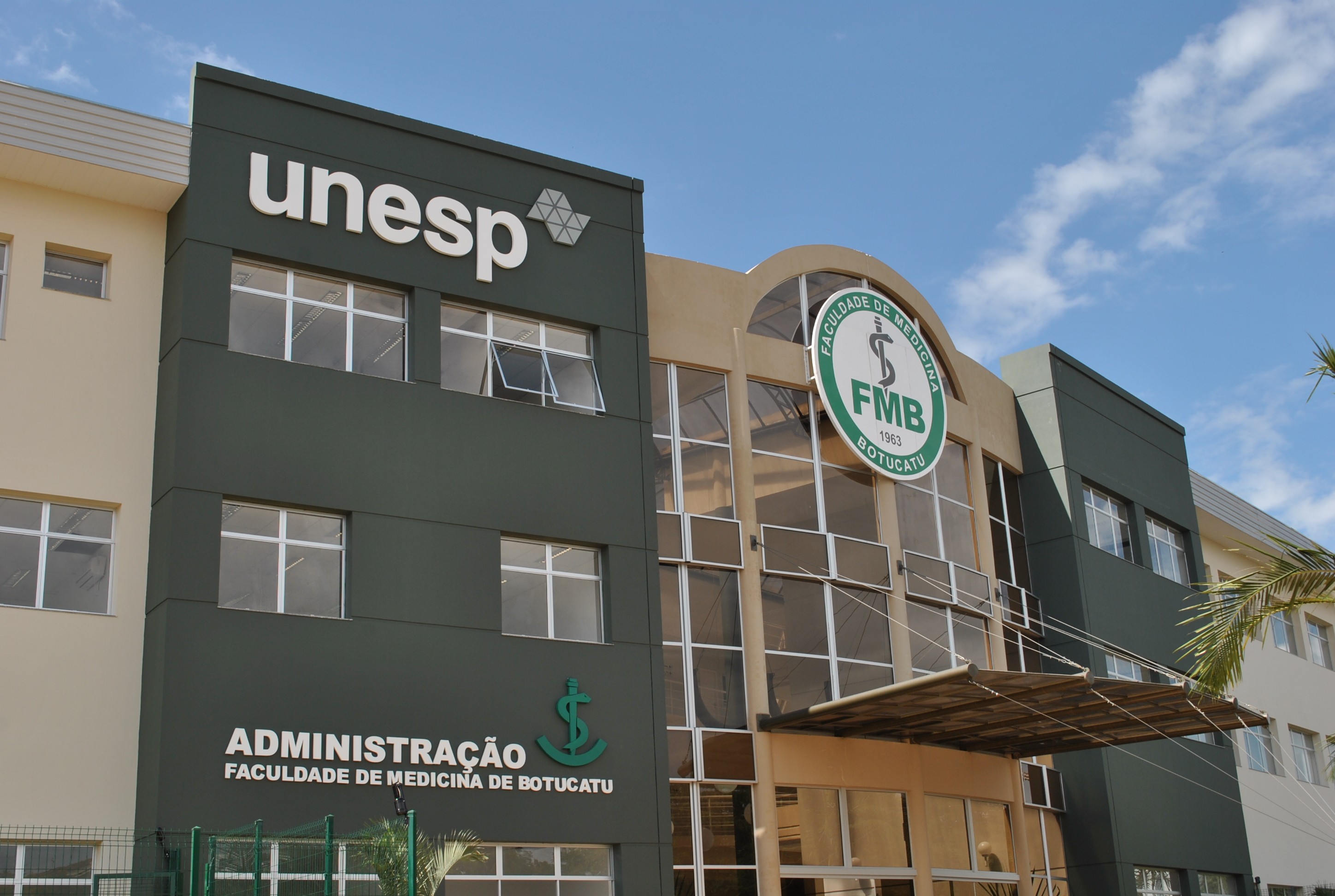 'Nem aquele 1%': com maior concorrência entre as públicas de SP, chance de aprovação em medicina da Unesp é de 0,37%