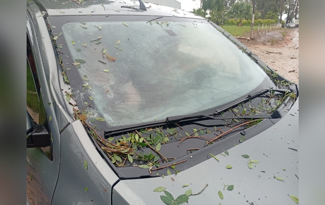 Chuva forte causa queda de árvores e destelhamentos na região de Itapetininga
