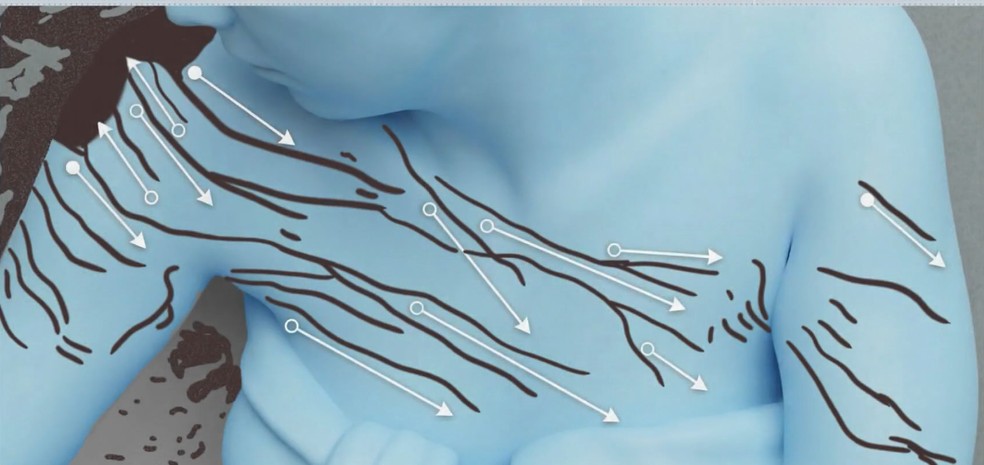 Ponto a ponto: quais foram os elementos da perícia que embasaram a prisão do tenente-coronel suspeito de matar mulher em SP — Foto: Reprodução