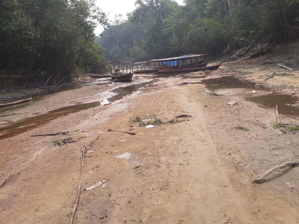 Embarcações encalhadas no rio Pacaás — Foto: Reprodução