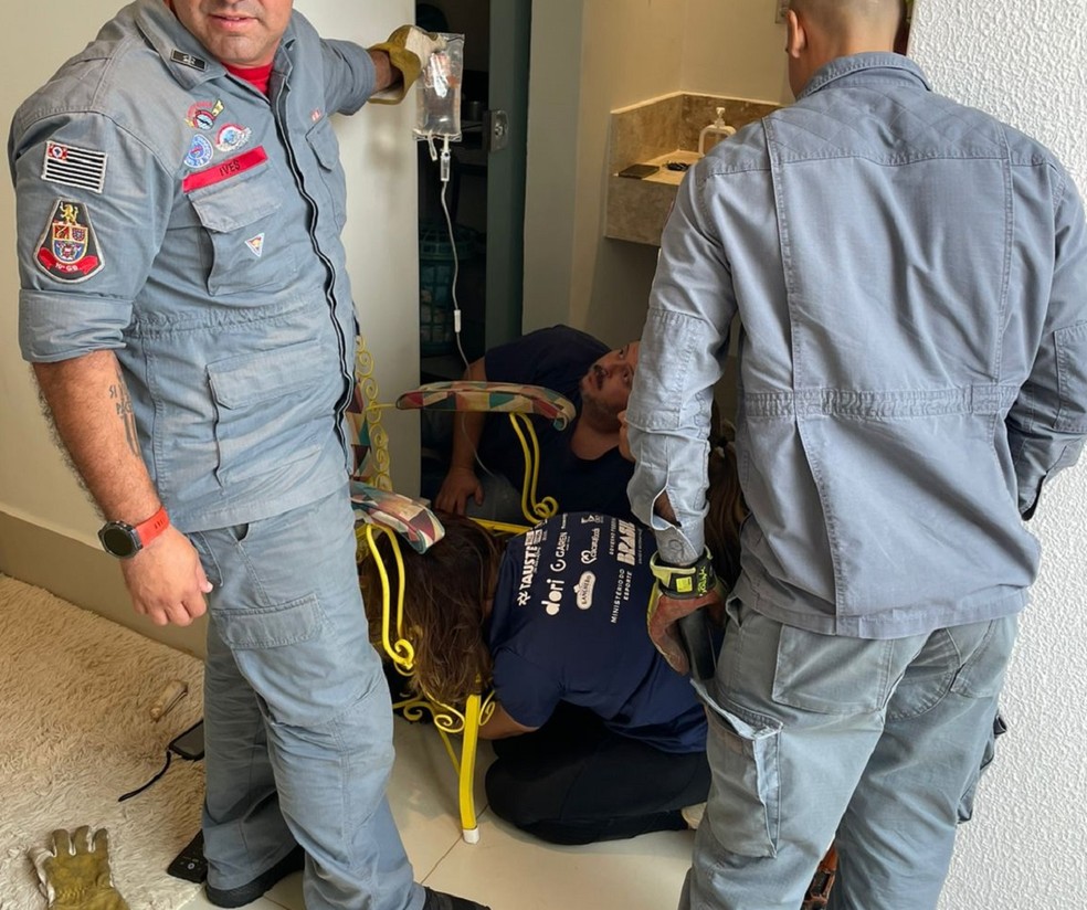 3 de 3
Cachorro &eacute; resgatado ap&oacute;s ficar preso em cadeira em Mar&iacute;lia &mdash; Foto: Corpo de Bombeiros/Divulga&ccedil;&atilde;o