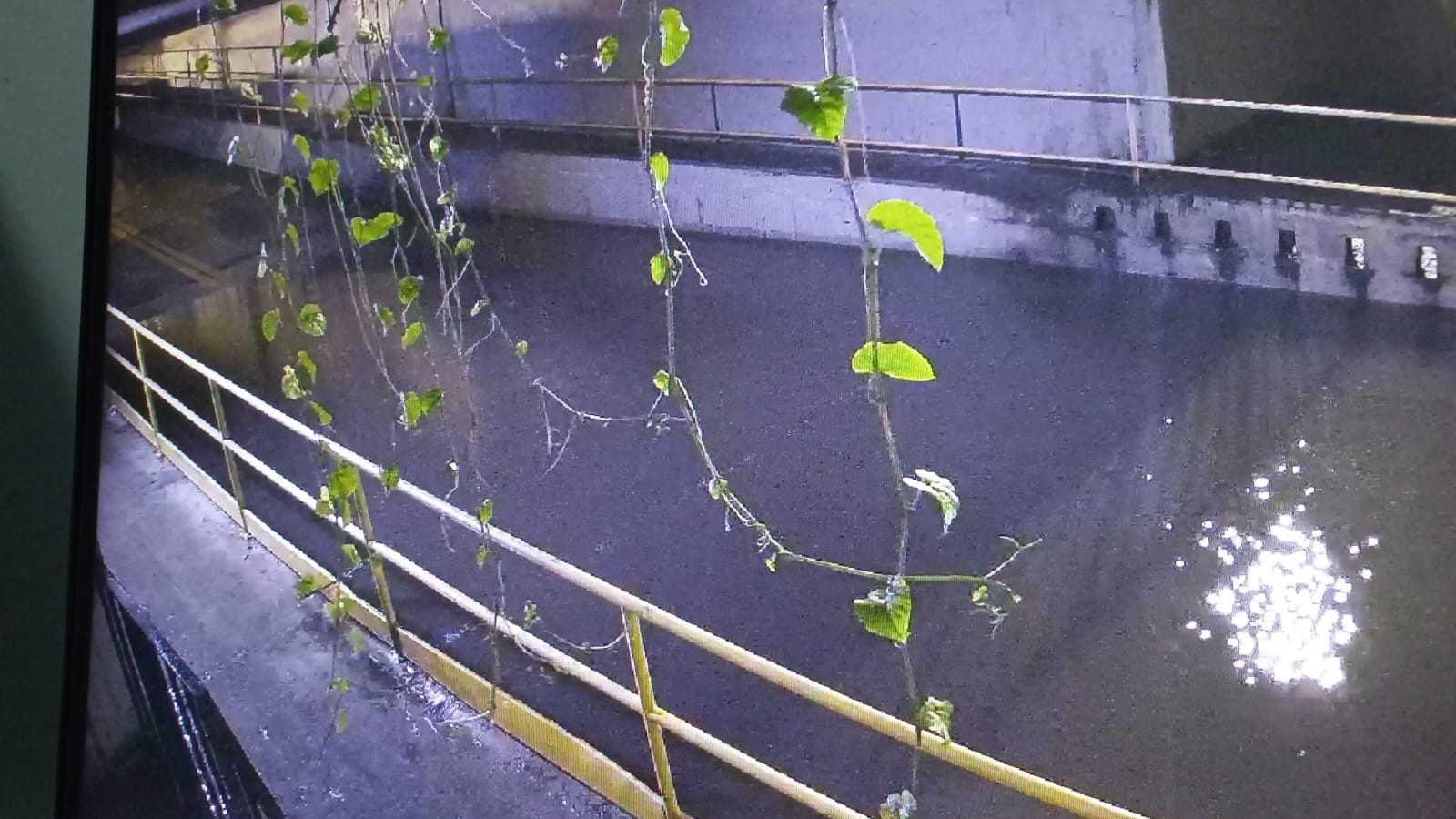 Chuva forte alaga ruas e derruba muros de casas em Resende