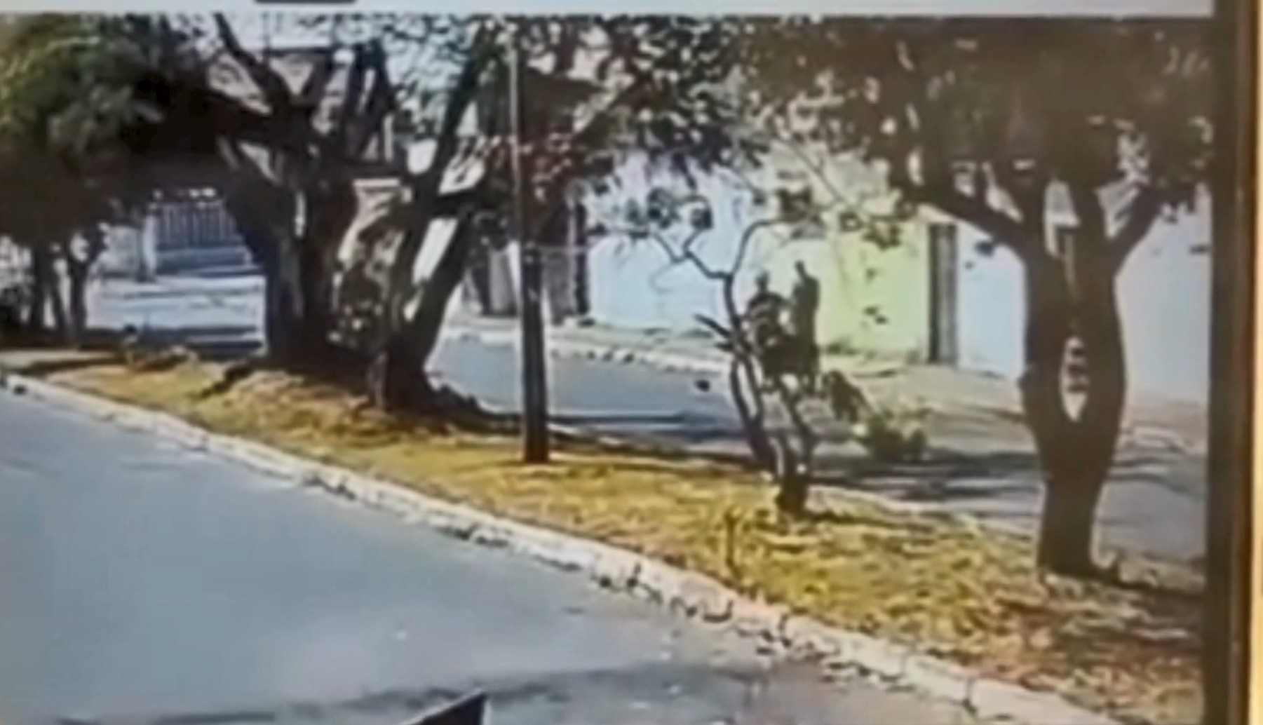 Jovem é preso por matar homem com tiro na cabeça em Taguatinga; VÍDEO mostra suspeito na casa da vítima