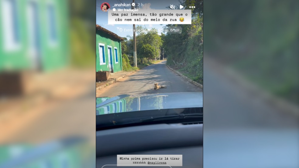 Ana compartilhou momento inusitado quando cachorro "impediu" a passagem do carro em Estrela do Sul. — Foto: Instagram/Reprodução