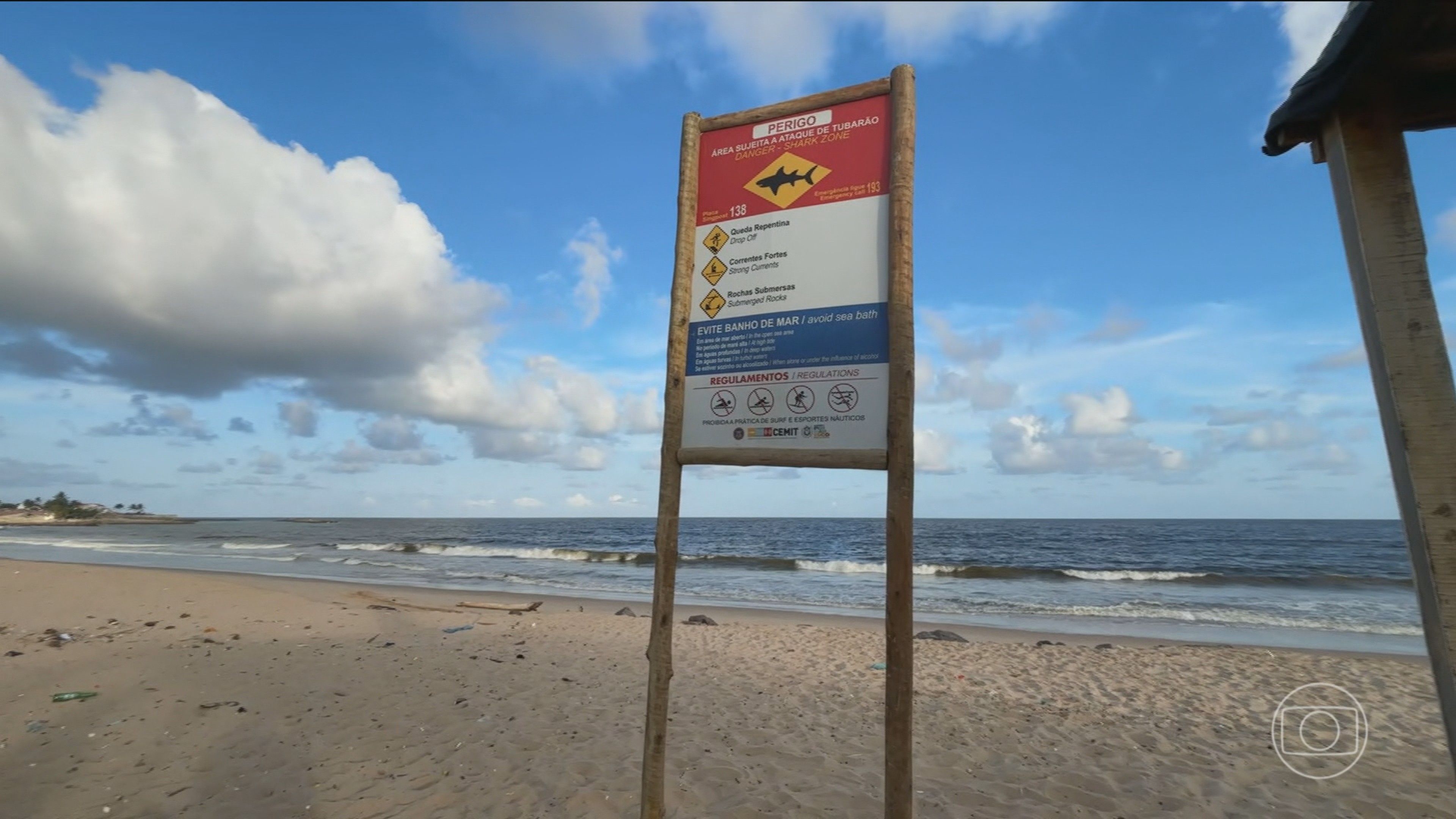 Adolescente de 13 anos morre após ser atacado por tubarão em praia em Olinda (PE)