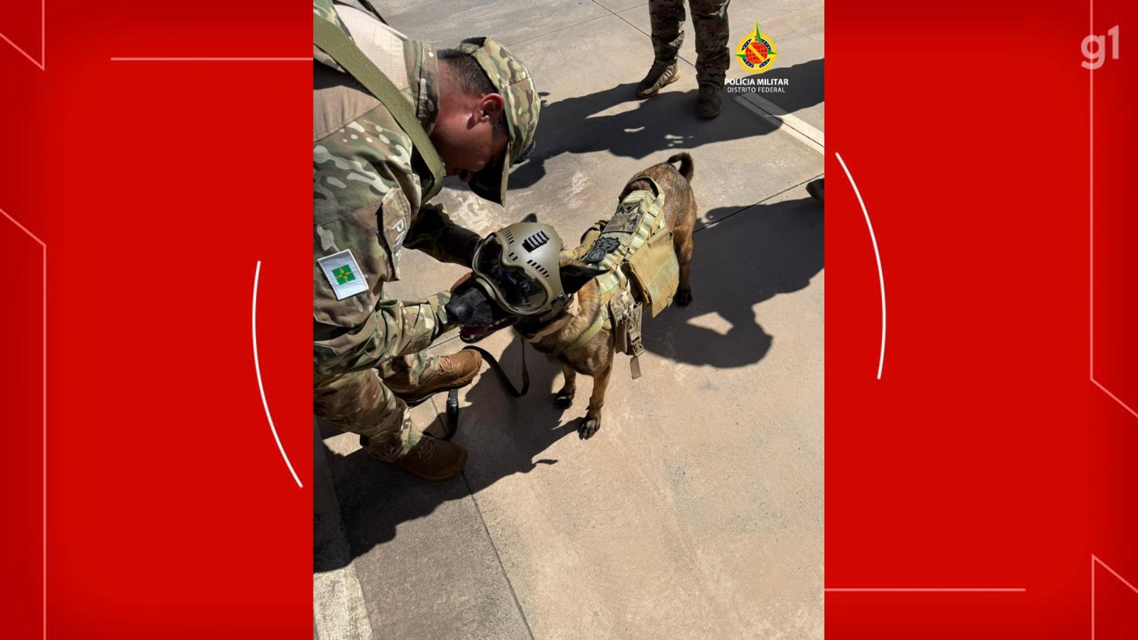 Falsa suspeita de bomba no centro de Brasília mobiliza Bope e até cão usando capacete; veja imagens