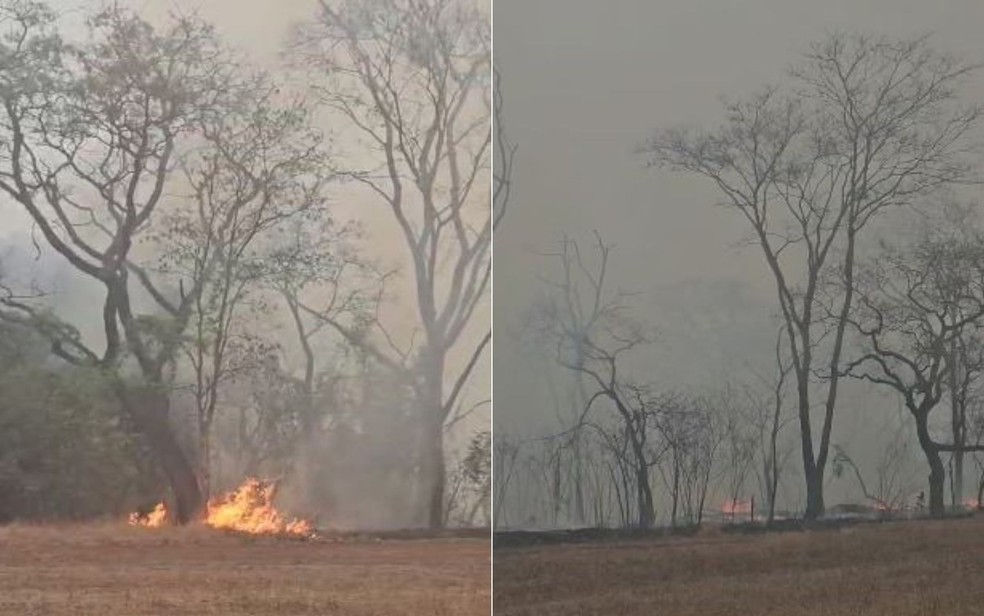 Local onde homem foi preso por suspeita de incêndio criminoso em Batatais, SP — Foto: Cabo Marcio Rodrigo Bonisennia