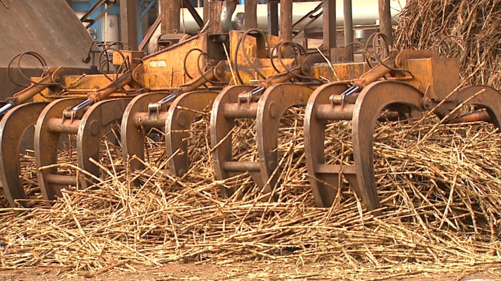 Números da moagem de cana-de-açúcar no Centro-Sul, segundo a União da Indústria de Cana-de-Açúcar (Unica), atingiram o índice de 619,26 milhões de toneladas no acumulado da safra 2023/24 — Foto: Reprodução/EPTV