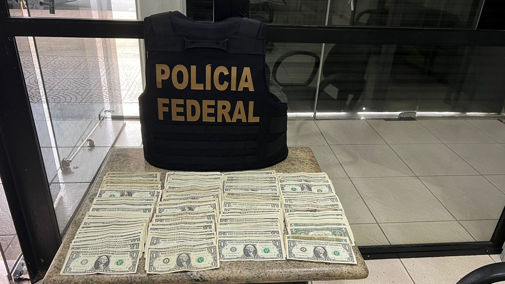 Dólares foram apreendidos pela polícia durante operação — Foto: PF/Divulgação