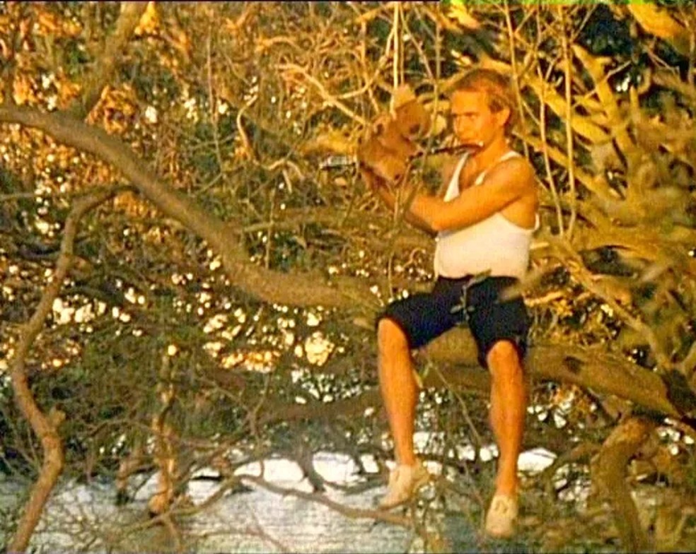 Greg Ham toca flauta no clipe de 'Down Under', sentado em uma seringueira ('gum tree') e com um boneco de coala — Foto: Divulgação