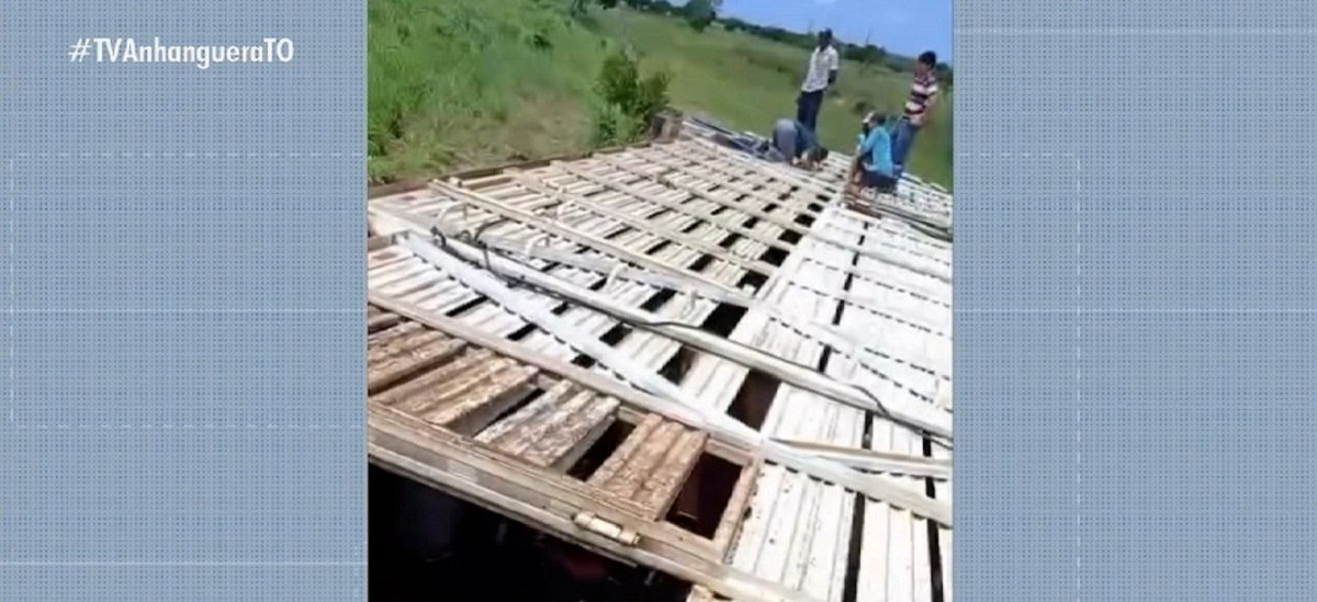 Caminhão carregado com mais de 80 cabeças de gado tomba em trecho da TO-222