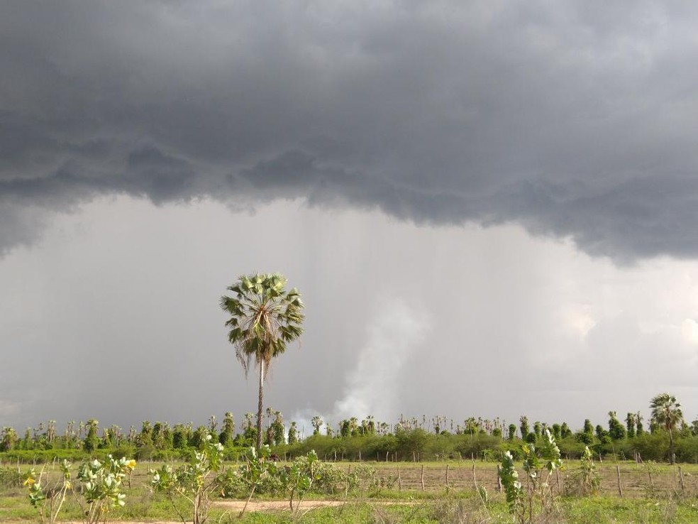A quadra chuvosa de 2023 no Ceará terminou em torno da média. — Foto: André Fernando/Funceme/Reprodução