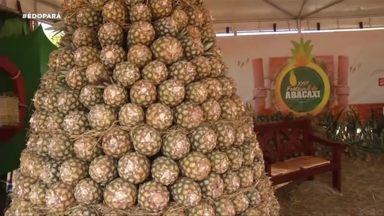 Maior produtor nacional de abacaxi, veja como o município de Floresta do Araguaia é beneficiado pela fruta - Programa: É do Pará 