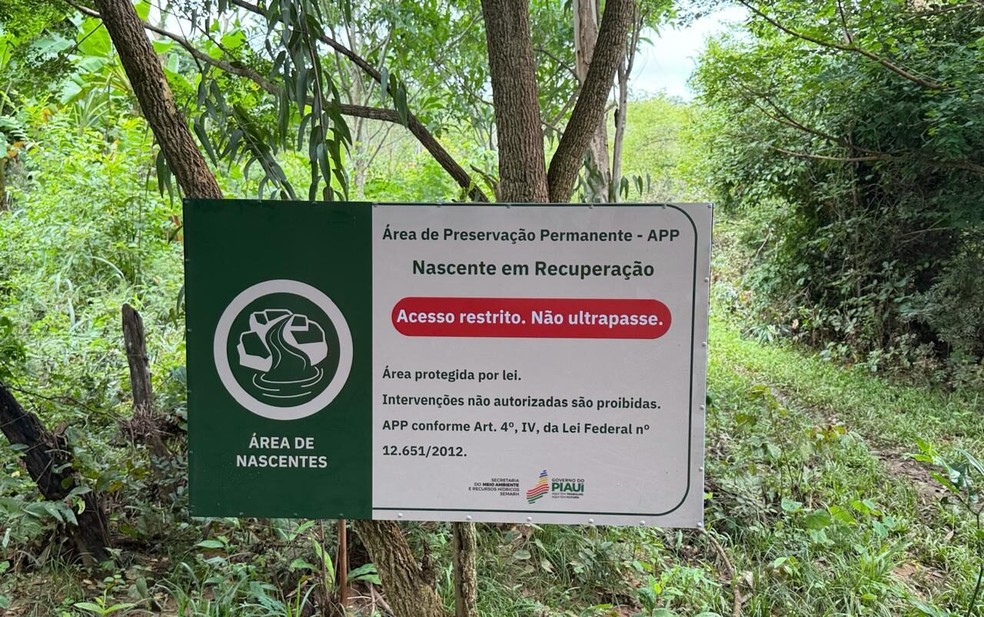 Ação representa compromisso do Governo com o meio ambiente — Foto: Ascom Semarh