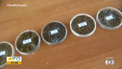 Dia de campo da Embrapa: evento mostra resultado de pesquisas na piscicultura e pecuária