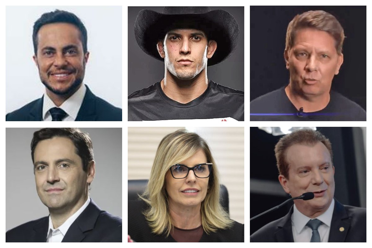 Filho de Gretchen, ex-lutador do UFC e roteirista do 'Dark Horse': Veja lista com famosos eleitos por SP para a Alesp e Câmara Federal