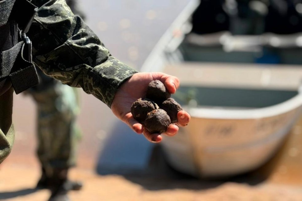 Polícia Ambiental devolve à natureza ao menos 5 milhões de sementes colhidas por presos no oeste paulista — Foto: Reprodução/Polícia Ambiental